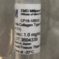 Sigma货号CP18-100ug抗胶原II型(Ab-1)小鼠mAb(II-4C11)上海睿安生物13611631389