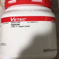 Sigma V900510-100mg琼脂糖Agarose上海睿安生物13611631389