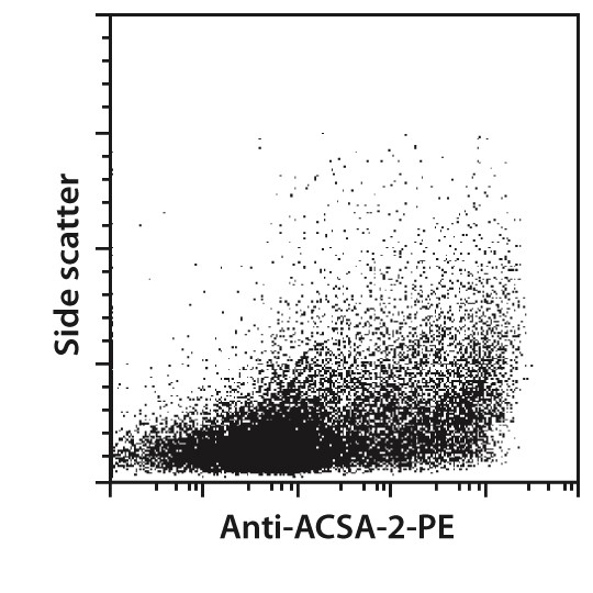 Anti-ACSA-2 MicroBead Kit, mou