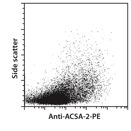 Anti-ACSA-2 MicroBead Kit, mou