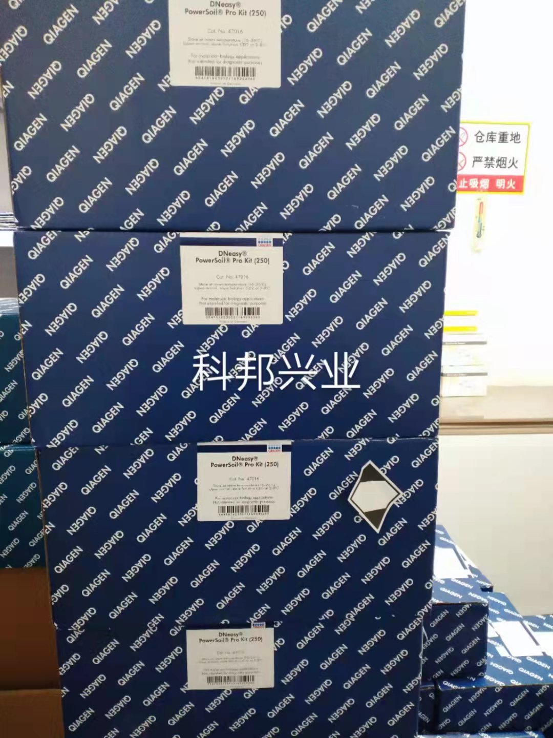 47016 qiagen 凯杰优秀代理商 DNeasy PowerSoil Pro Kit价格_品牌:QIAGEN-丁香通官网
