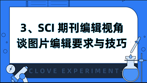 丁香实验推荐阅读