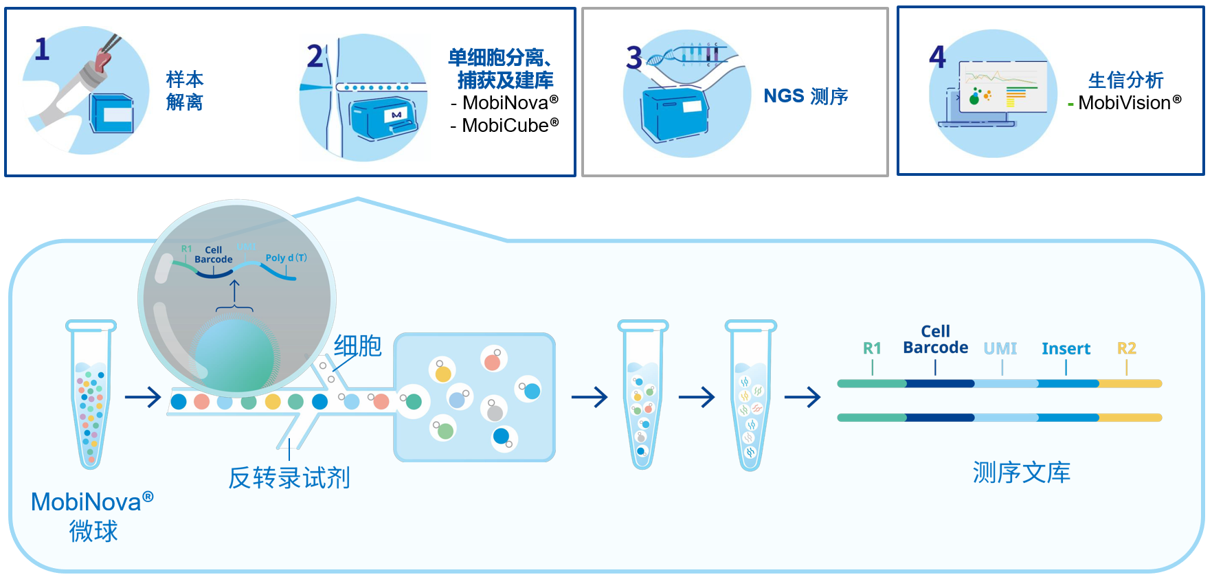 单细胞转录组测序