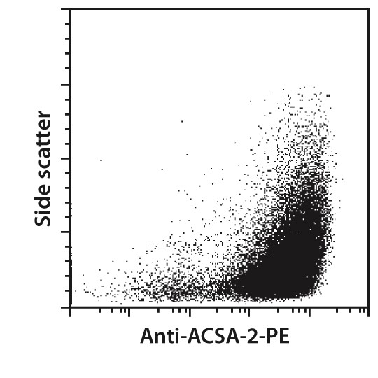 Anti-ACSA-2 MicroBead Kit, mou