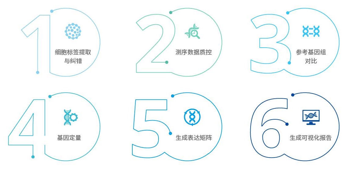 单细胞转录组测序