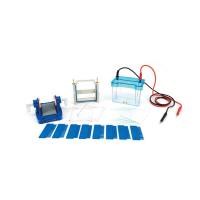 六一 DYCZ-24DN 迷你双垂直电泳仪(注)