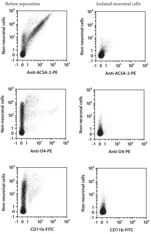 Neuron Isolation Kit, mouse