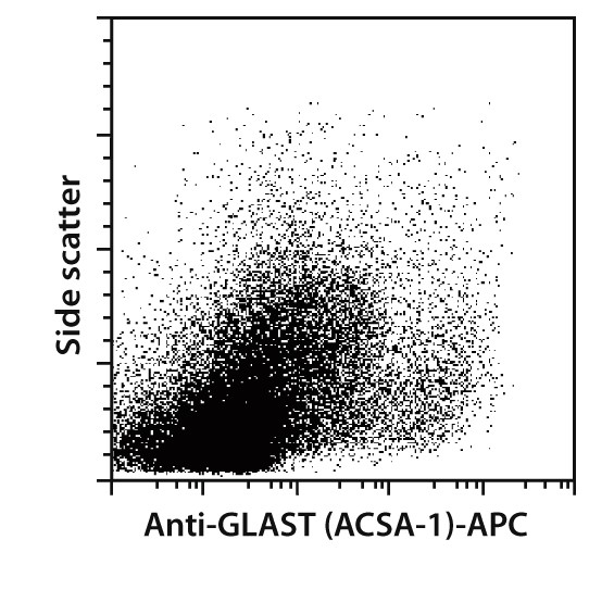 Anti-GLAST (ACSA-1) MicroBead 