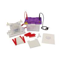 Cleaver CVS10DSYS 迷你垂直电泳槽