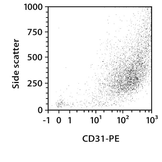 CD31 MicroBeads, mouse