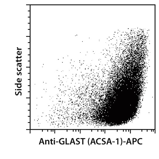 Anti-GLAST (ACSA-1) MicroBead 