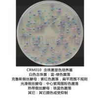 念珠菌显色平板 30年老品牌