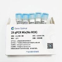 2X qPCR Mix (No ROX)