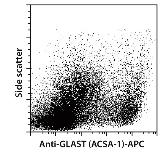 Anti-GLAST (ACSA-1) MicroBead 
