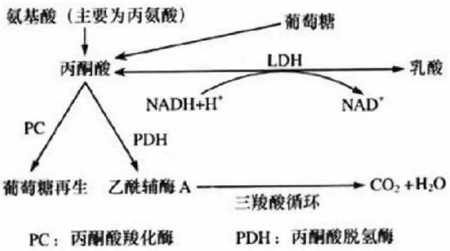 企业微信截图_11c02ca8-d0d4-481f-bb33-4a7b71a24d10.png