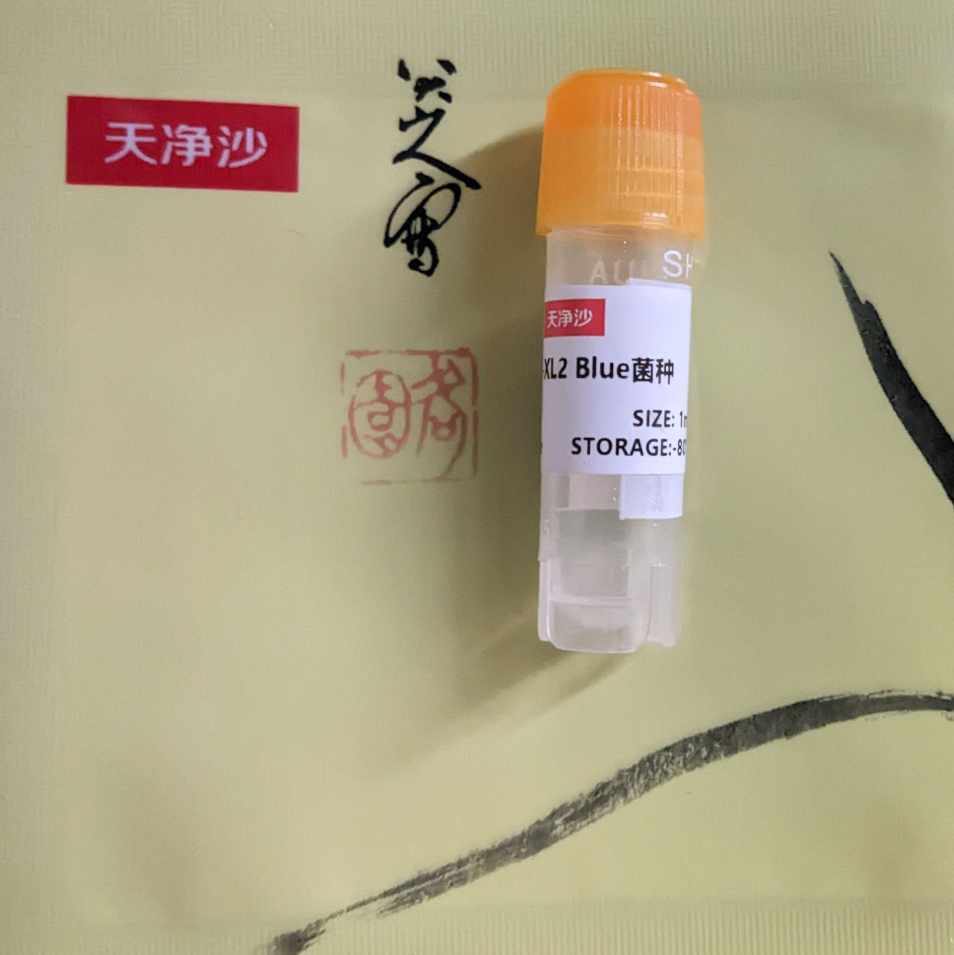 T7 RNA转录标记试剂盒（生物素标记）