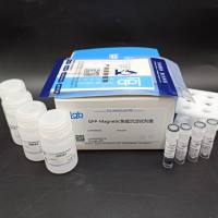 GFP-Magnetic免疫沉淀试剂盒（含1.5ML，6孔磁力架） 