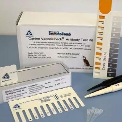 犬传染性肝炎/犬细小/犬瘟热三联IgG抗体筛查试剂盒