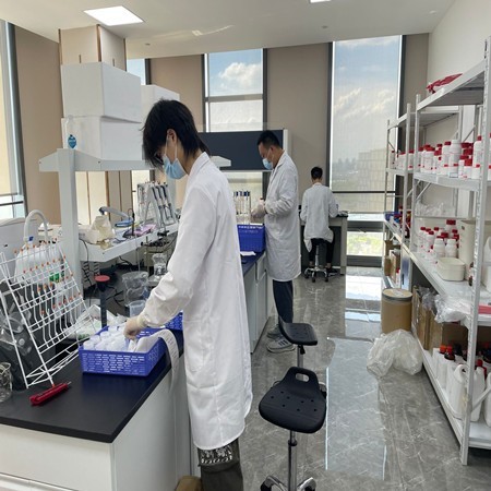 兔抗USP38多克隆抗体