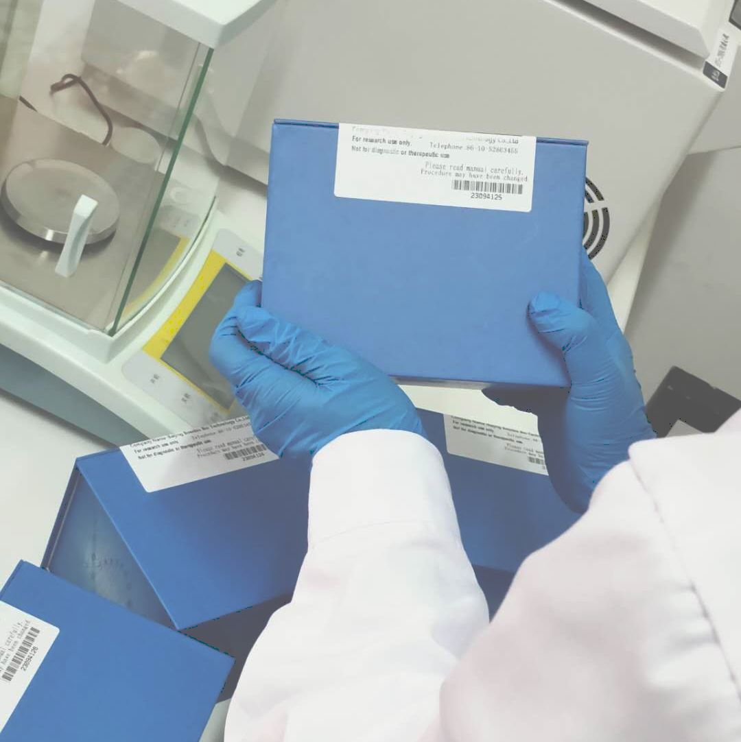 小鼠谷氨酸（ Glu ） 酶联免疫 分析（ELISA 