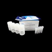 Flag-Agarose免疫沉淀试剂盒