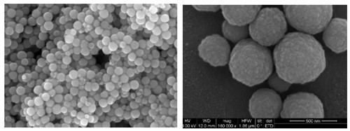 献礼·威斯腾15周年 | 威斯腾生物自主研发超微量纳米磁珠成功上市