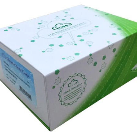 胎盘凝血酶抑制因子(PTI)检测试剂盒(酶联免疫吸附试验法)产品图