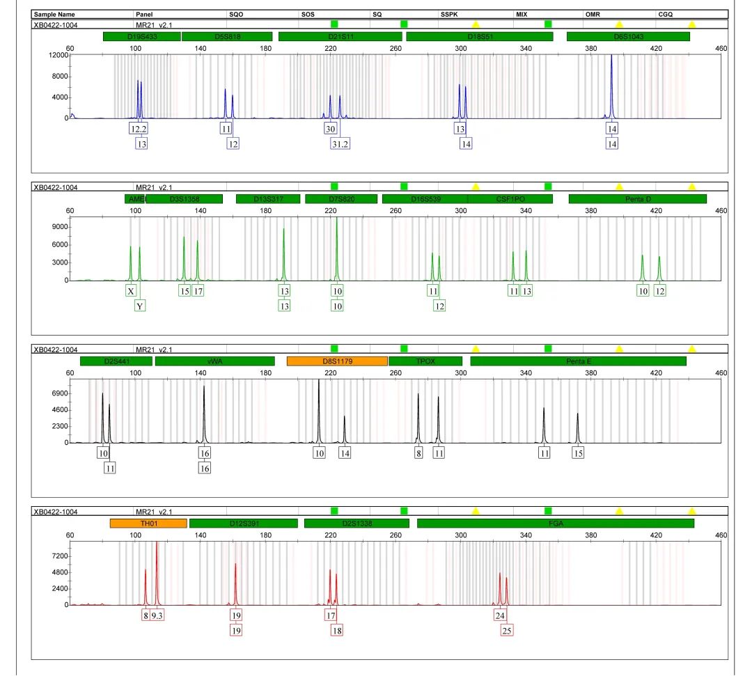 升级啦！普诺赛STR鉴定报告缩短为半年期