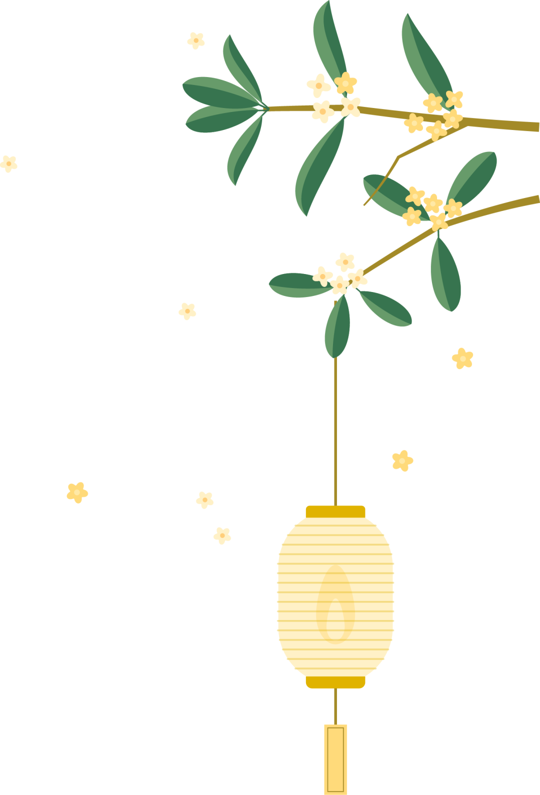 中秋话月饼：美味莫贪多，健康记心间