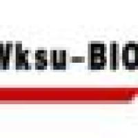 ARecombinant TNF-α鼠类的ARecombinant Murine TNF-α