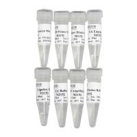 麦伯 MagicSeq DNA Library Prep Kit for Illumina  M