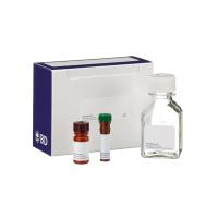 BD Pharmingen 556547 Annexin V-FITC 细胞凋亡检测试剂盒