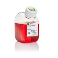 胰蛋白酶-EDTA (0.25%)，含酚红