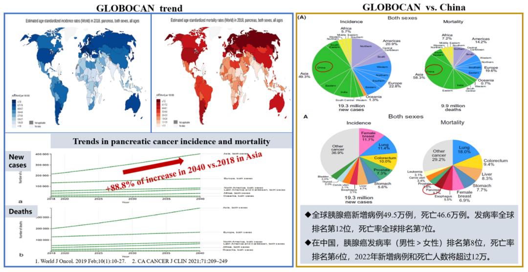 肿瘤模型之胰腺癌动物模型该如何选择？