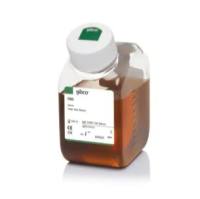 ​​​​​​​Gibco 胎牛血清，特级，新西兰