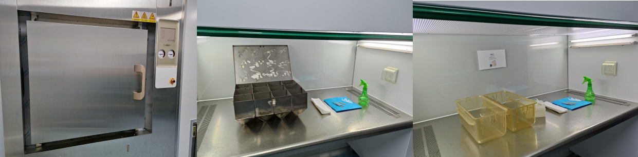 小鼠肠道菌群研究第一步--“无菌采便”需关注