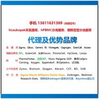 JET洁特300µl灭菌一次性微量吸头(无DNase/RNase无热源)无内毒素13611631389上海睿安生物