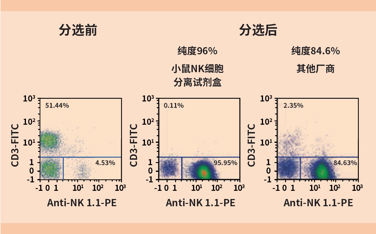小鼠NK分离试剂盒 NK Cell Isolation Ki