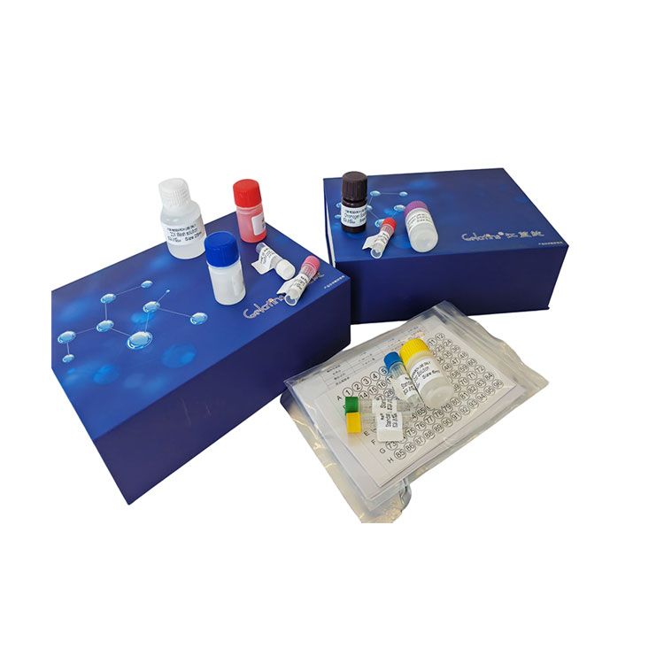 血镁浓度科研专用测试盒/可见分光光度法
