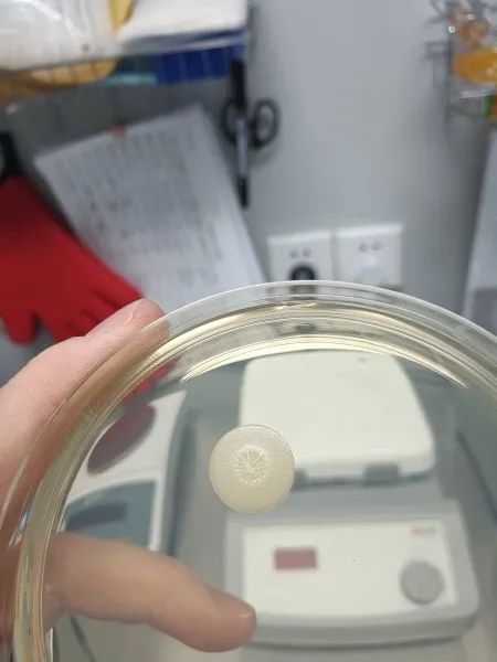  无菌室洁净度检测方法与步骤