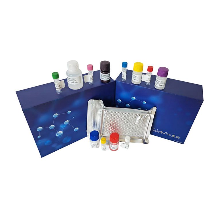 血磷浓度科研专用测试盒/可见分光光度法