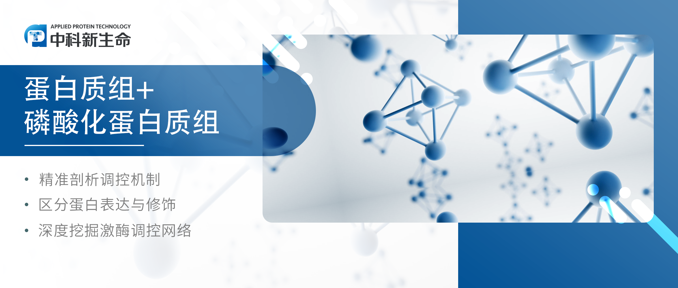 项目文章J Hazard Mater（IF 14）| 快速发文新思路：蛋白组+磷酸化组揭示纳米材料促进生物膜形成的机制