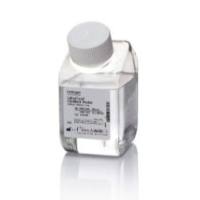 Dxy UltraPure™ 蒸馏水（DNase/RNase-Free）