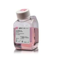 Gibco Opti-MEM™  减血清培养基