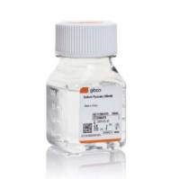 SODIUM PYRUVATE SOL 100ML