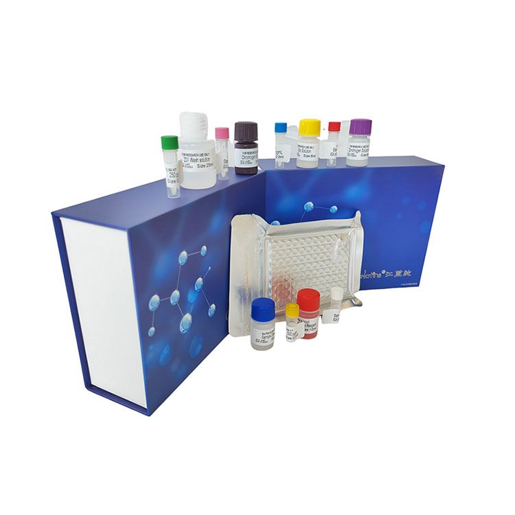 红霉素-N-脱甲基酶(ERND)科研专用测试盒/可见分光光度法
