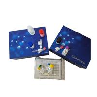 糖化酶(Glucoamylase)科研专用测试盒/可见分光光度法