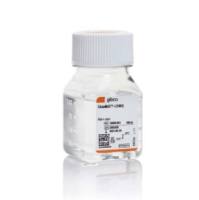 GlutaMAX™ 添加剂