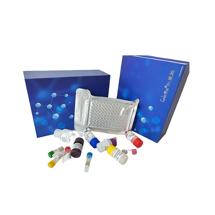 血锌浓度科研专用测试盒/可见分光光度法