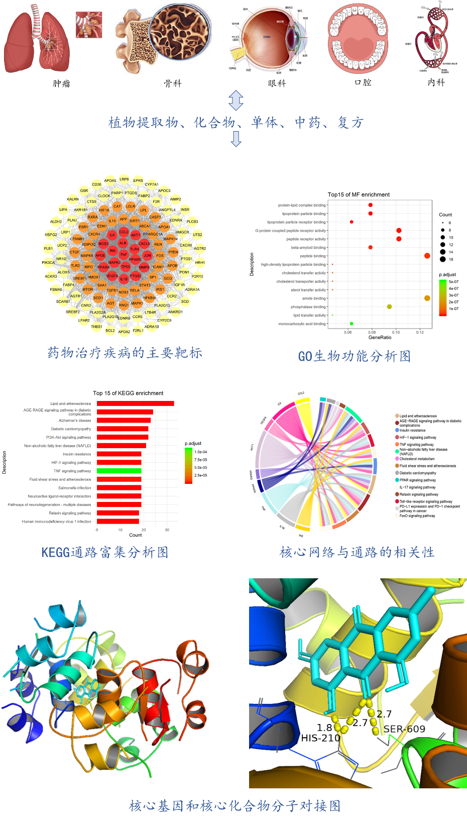 基于网络药理学分析的个性化分析服务/多项药理学/多重药理学/